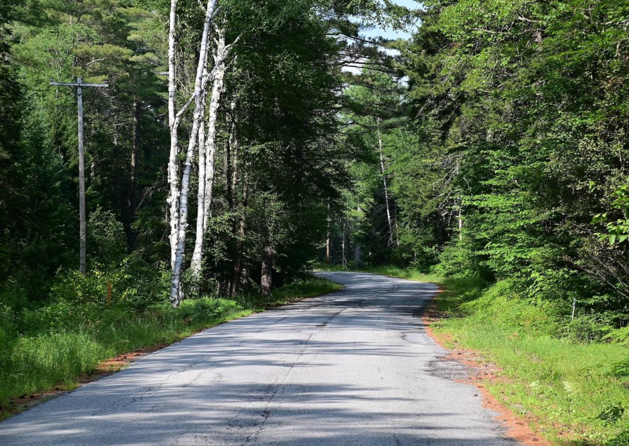 Stony Creek to Harrisburg Lake, Jennifer Kietzman, Road View