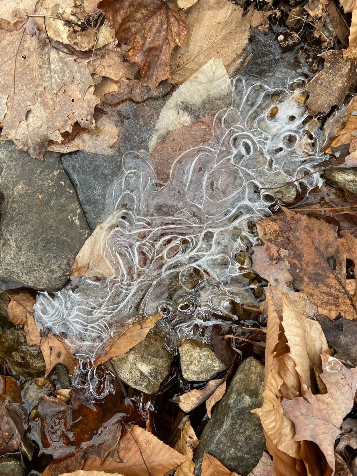 Redmond's Overlook - Elaine Winslow, Ice Patterns