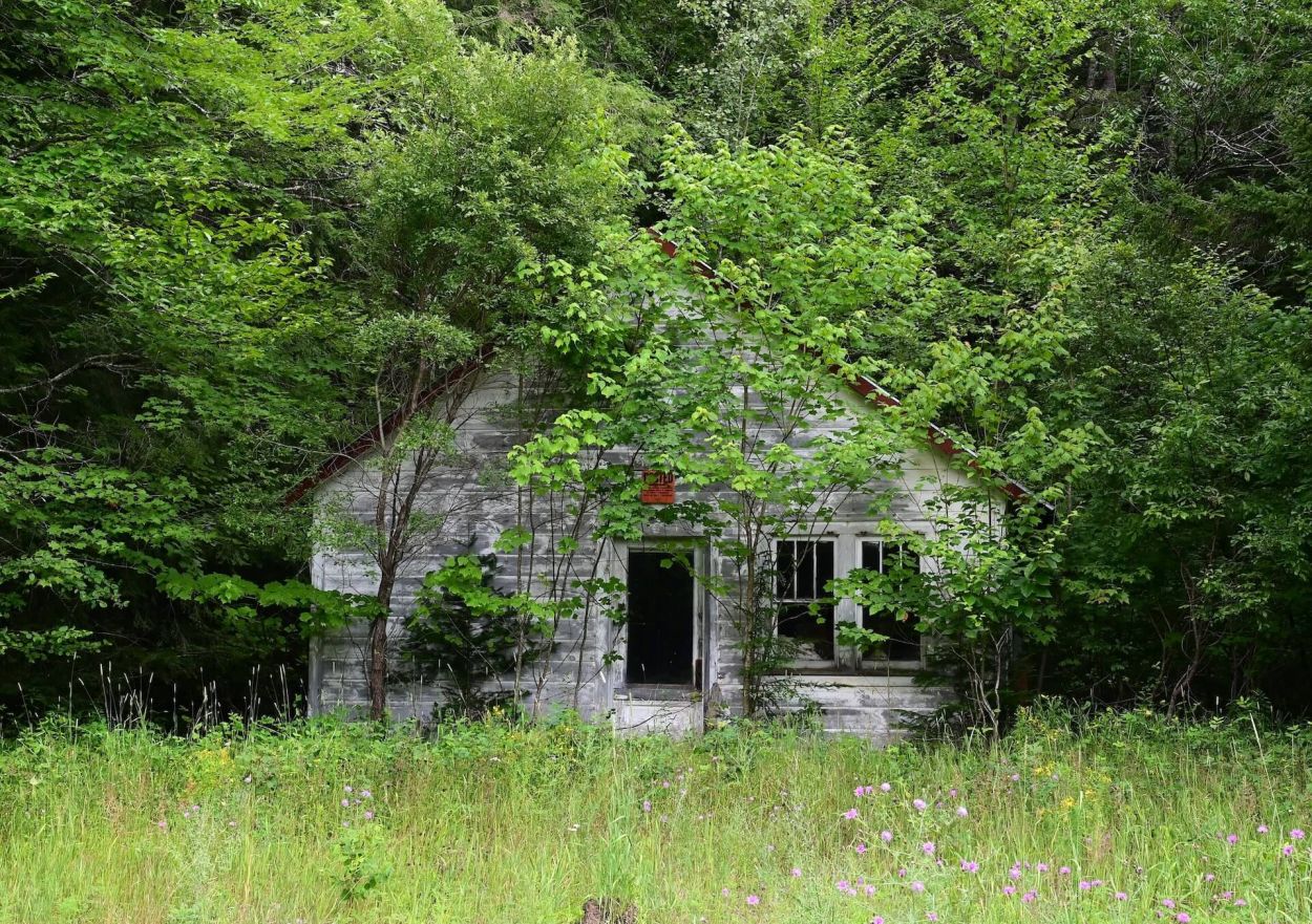 Stony Creek to Harrisburg Lake, Jennifer Kietzman, Old Camp Called _No Does_