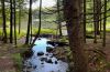 Redmond's Overlook - Elisabeth Morreale - Upper Reservoir (1) (1)