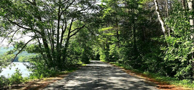 River Road to Bear Slides Trailhead - Jennifer Kietzman, Farm