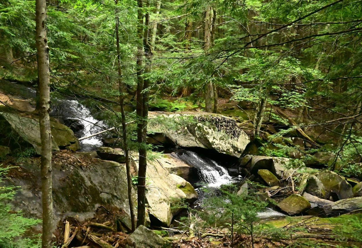 Bear Slides - Jennifer Kietzman, Buttermilk Falls