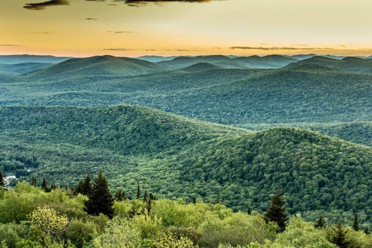 Hadley Mountain Trail - Dan Novak