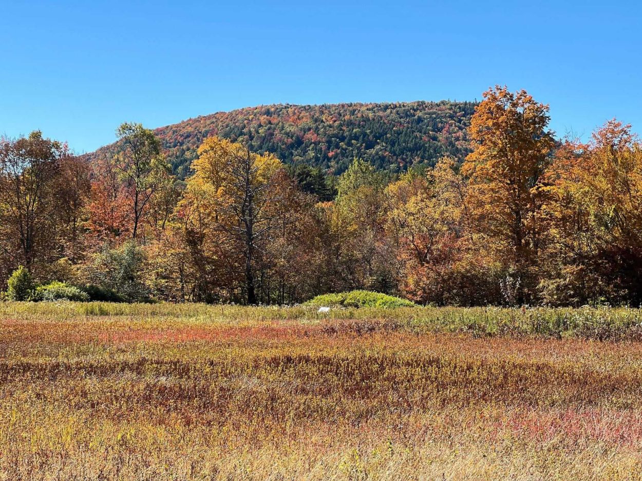 Dean Farm Heritage Trails - Steven Franczkiewicz