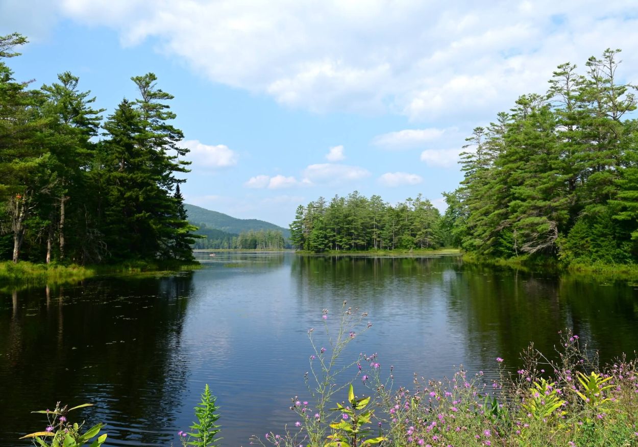 Stony Creek to Harrisburg Lake, Jennifer Kietzman, View from the Causeway