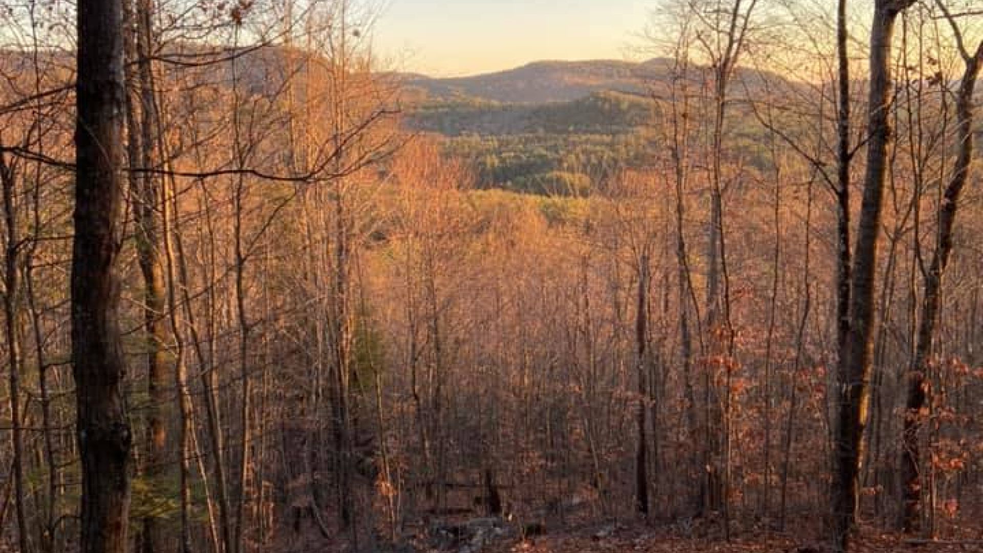 Potash Mountain Trail - Elaine Winslow, View from the Nature Trail