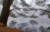 Redmond's Overlook - Jennifer Kietzman, Upper Reservoir in Winter