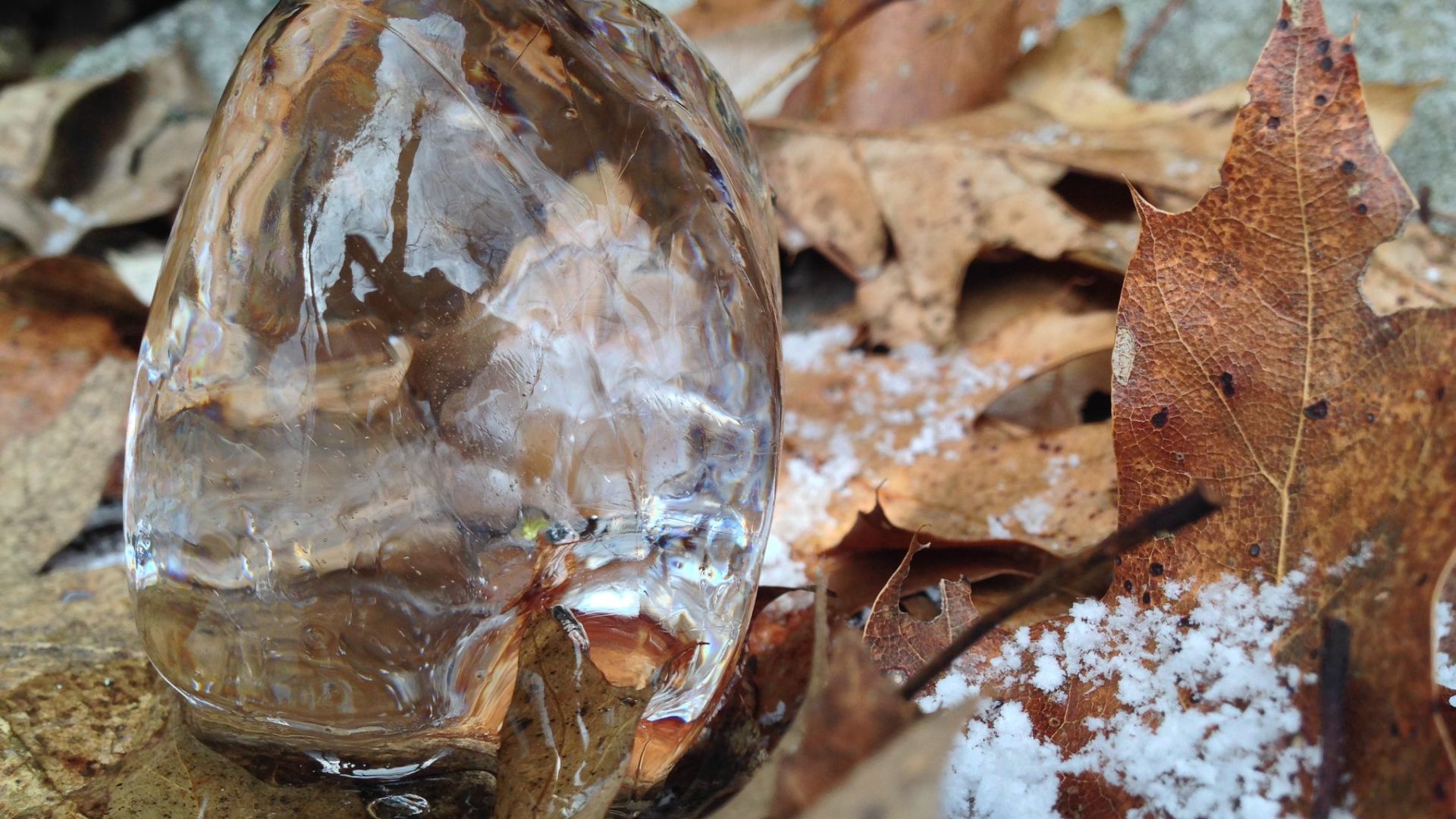 Potash Mountain Trail - Steve Mackey - Stalagmite