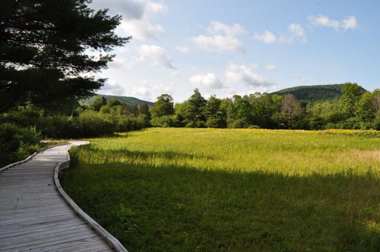 Dean Farm Heritage Trails - Matthew Ziehnert 1