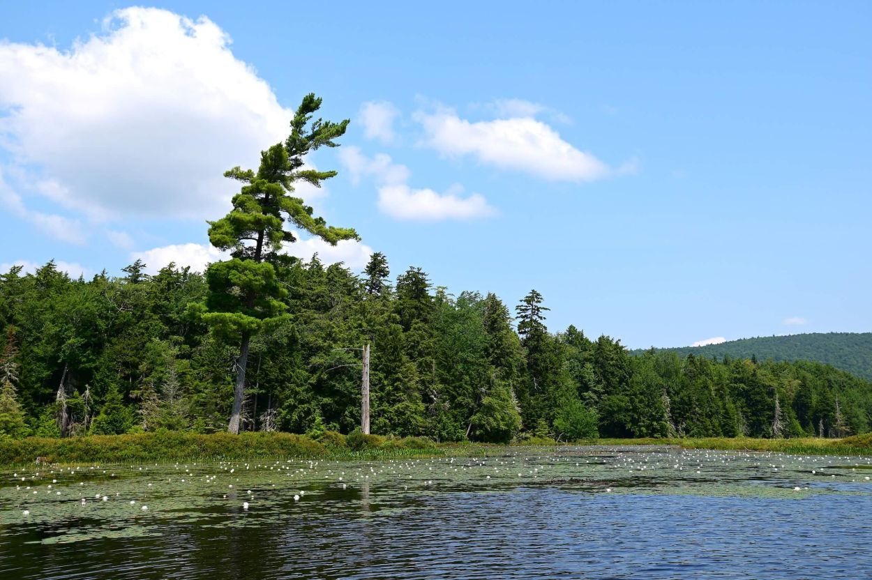 Photo by Jennifer Kietzman.