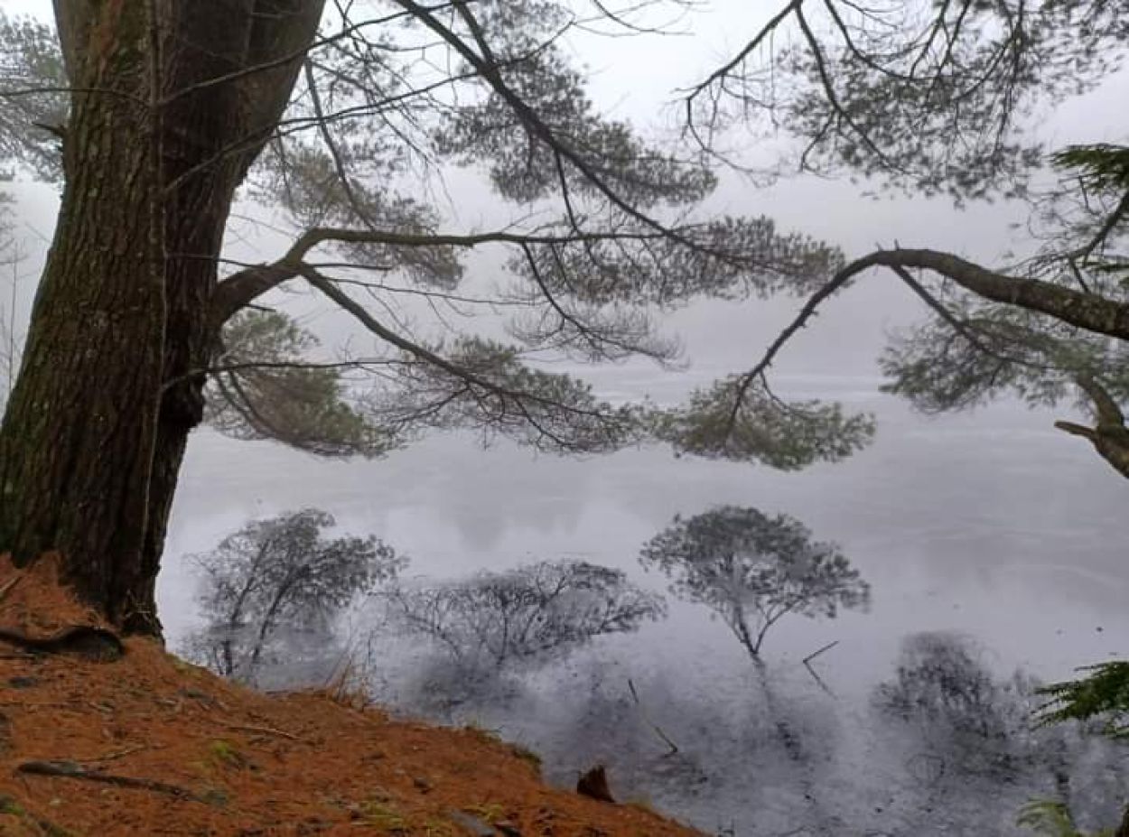 Redmond's Overlook - Jennifer Kietzman, Upper Reservoir in Winter