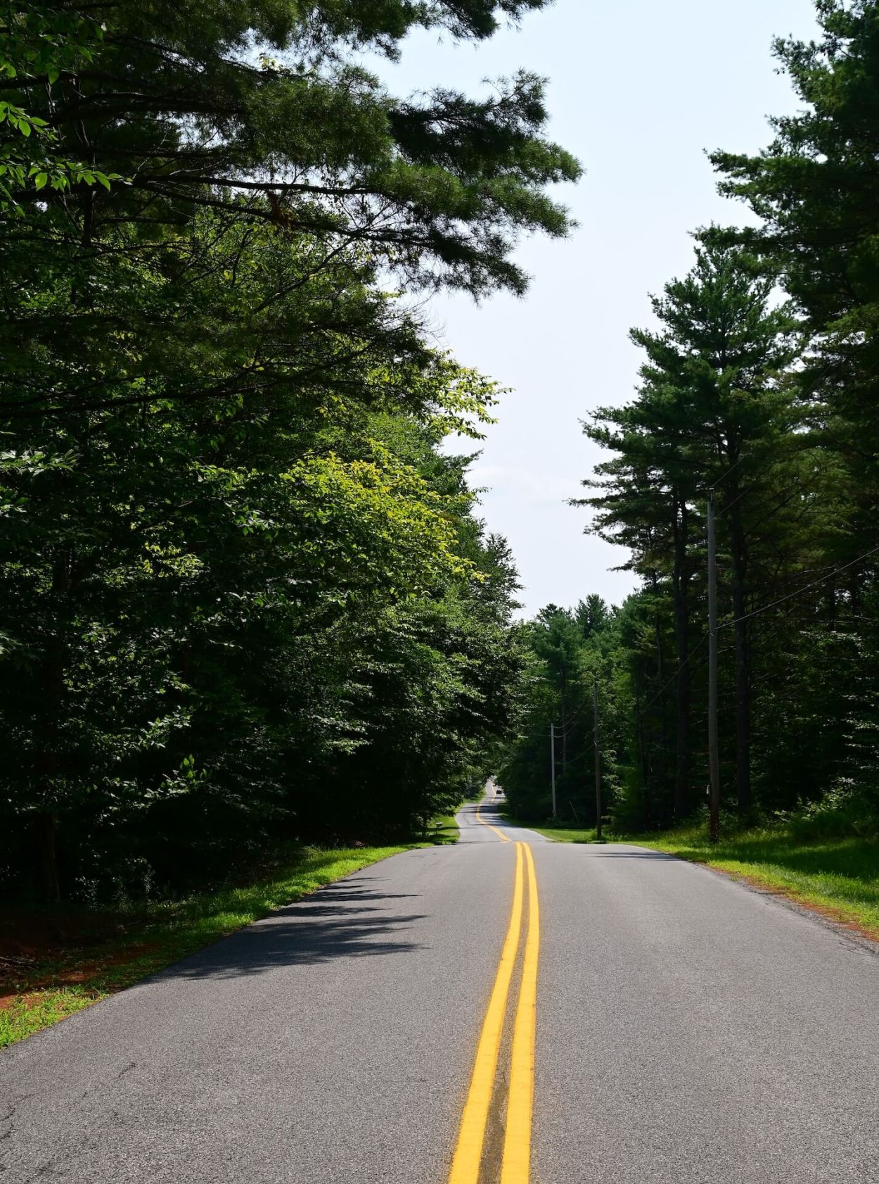 From Corinth Beach and Back - Jennifer Kietzman, Road View