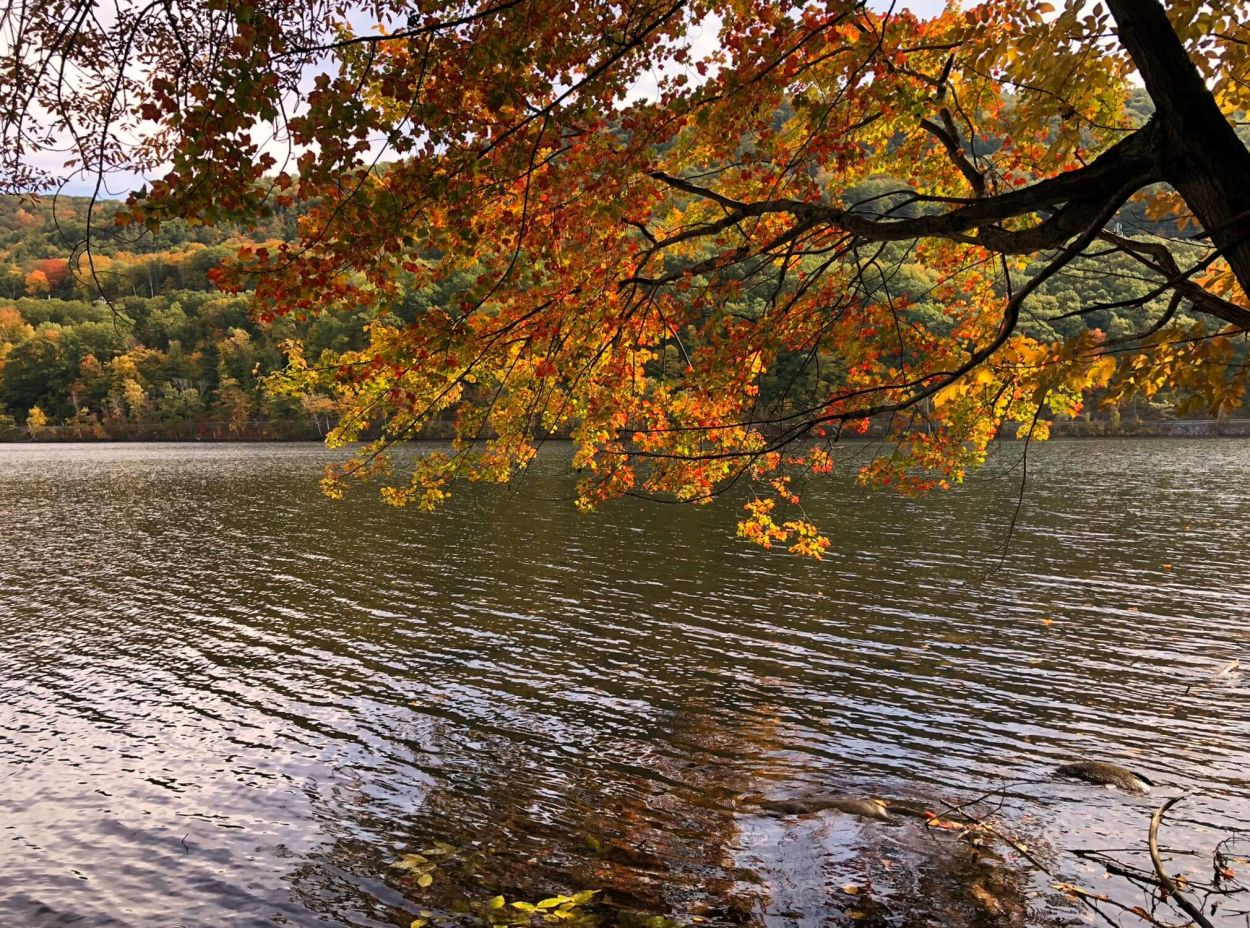 Stonewall Trail - FMLSP FB - Hudson River Shoreline