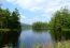 Stony Creek to Harrisburg Lake, Jennifer Kietzman, View from the Causeway