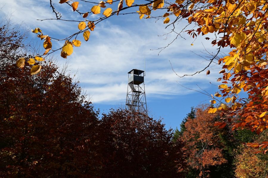 Spruce Mountain Trail - Jennifer Kietzman 3 - adk gateway 8