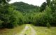 Bear Slides - Jennifer Kietzman, View of the Trail before It Enters the Woods