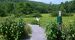 Dean Farm Heritage Trails - Jennifer Kietzman, Entrance to ADA Accessible Trails on West Side of Murray Road