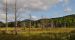 Dean Farm Heritage Trails - Matthew Ziehnert 3
