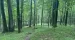 Dean Farm Heritage Trails - All Trails - Kristin Olmstead 3